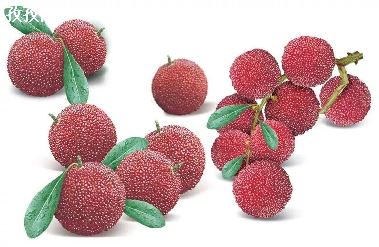 ÷Զ˶ʲôӰ_÷Զʲô?-ͼ3