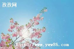 Ǻø_ǺΪʲô׺?-ͼ2
