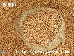 ڿ_Ⱥڿʲôô?-ͼ1