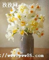 ǿˮʲô_ǿˮɱʲô