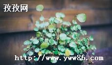 ǿˮʲô_ǿˮɱʲô-ͼ2