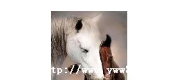 ³_³ĺ