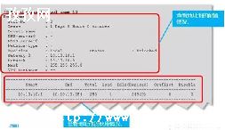 dhcp_dhcpôò