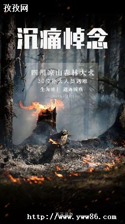 ɽ_ĴɽжԶ?