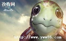 ʵôûʵû