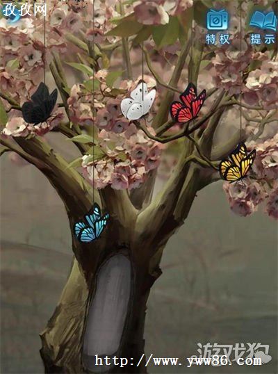 ֽ5޼ξڷλʲô