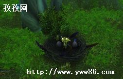 ӥ޷_ӥ޷ճɾ
