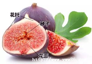 ޻лׯ԰_޻ûл