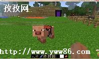 ҵôѱ_ҵôѱôŰ