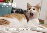 ȱǮӰ_ȱǮӰ̵ͼƬ