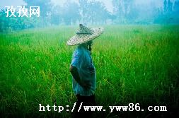 ޻ڻôȽϺ-ͼ2