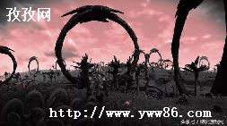 ҵ̽ʲ