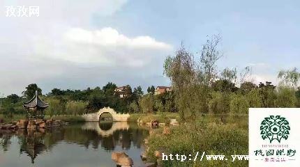 桃园什么职业好_桃园那个职业好-图2