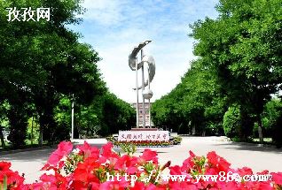 桃园什么职业好_桃园那个职业好-图3