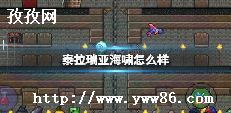 ̩1.4㹫شʲô