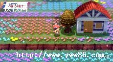 ξʯô_ξʯֻ