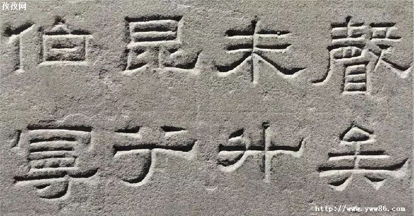 󺺹ôˢ