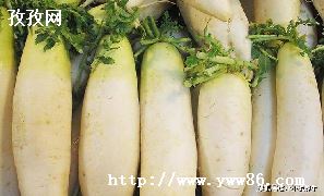 ܲ8ԣܲ8ȫԷ