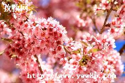 ӣУ԰_ҵ