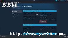 steam_steamϸϢдʲô