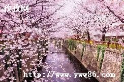 ӣ_ӣʤӣ̤ȥ