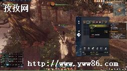 Ծ׽չ