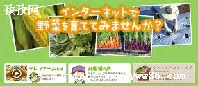 farmskinsվ_Farmskinsô