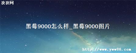 ݮ9000ô_ݮ9000ͼƬ