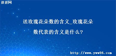 õ廨ĺ_õ廨ĺʲô?