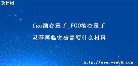 fgoͯ_FGOͯͻҪʲô