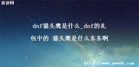 dnfèͷӥʲô_dnfе èͷӥʲô